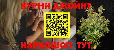 крисы Краснознаменск