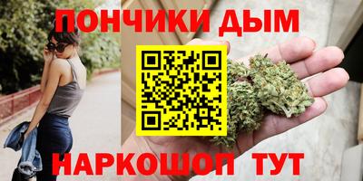 крисы Краснознаменск