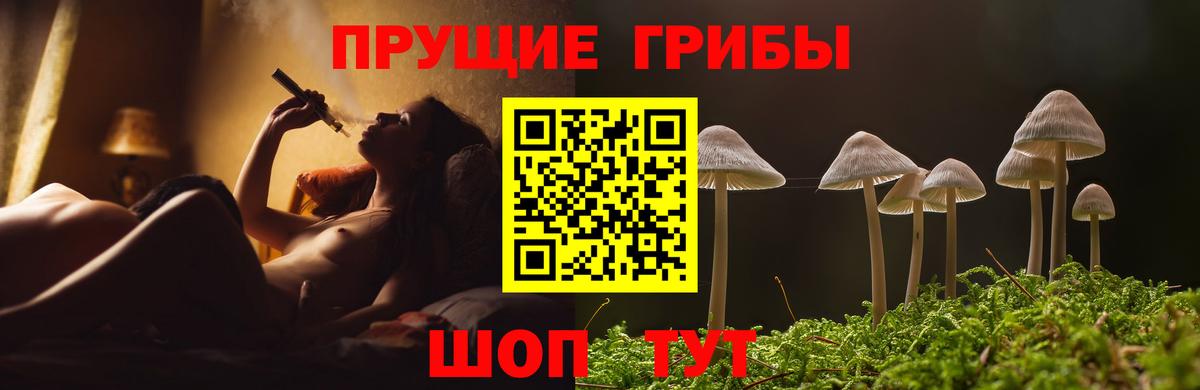 Галлюциногенные грибы мухоморы Шали